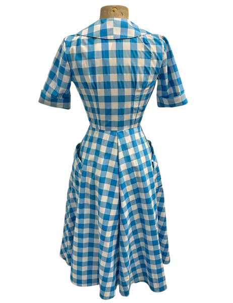 Scout Blue Gingham Shawl Collar Meadow Dress