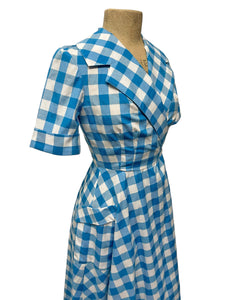 Scout Blue Gingham Shawl Collar Meadow Dress